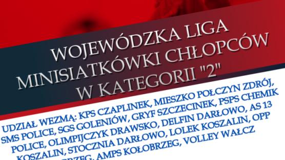 Wojewódzka Liga Minisiatkówki chłopów w kategorii "2"