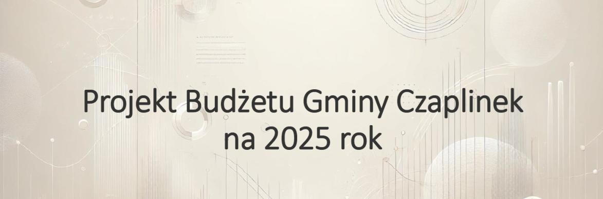 projekt budżetu 1 strona