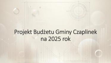 projekt budżetu 1 strona